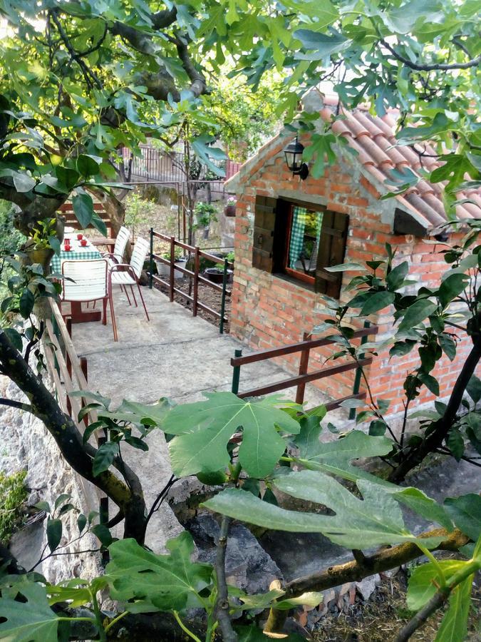 Apartment Lidija Херцег-Новий Екстер'єр фото