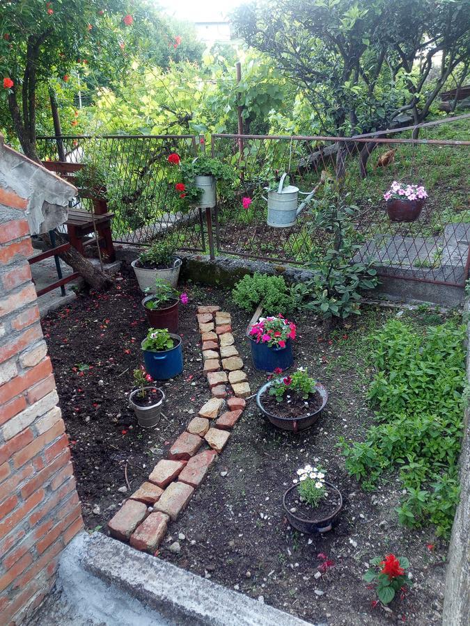 Apartment Lidija Херцег-Новий Екстер'єр фото